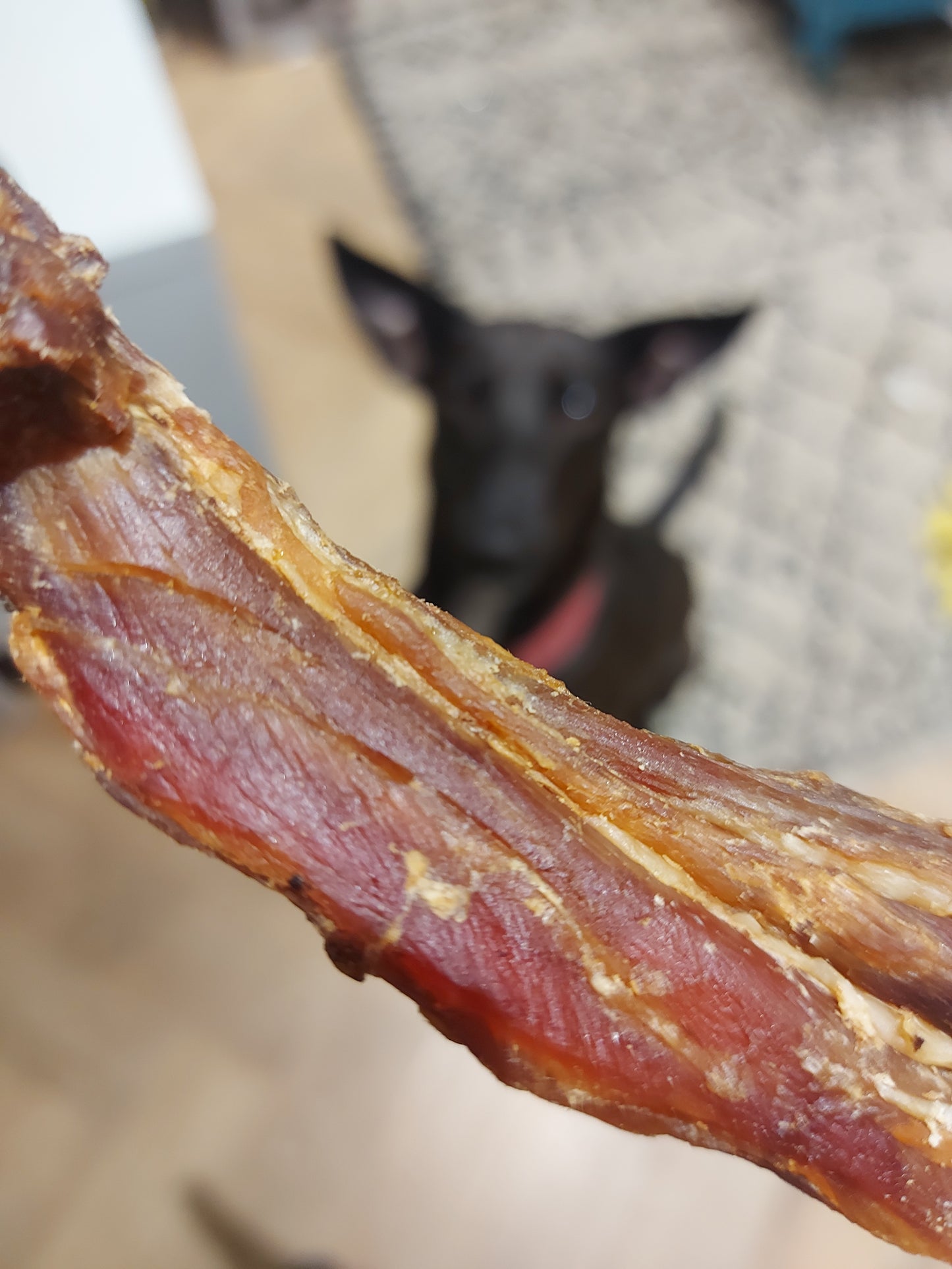 Dried Venison Chews