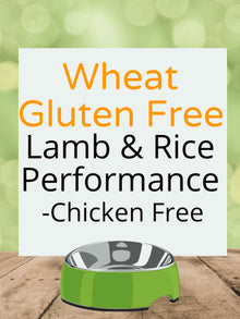 Wheat Gluten Free Lamb & Rice Performance - Chicken Free Kibble