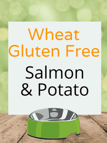 Wheat Gluten Free Salmon & Potato Large Breed Kibble