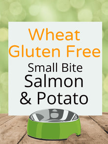 Wheat Gluten Free Small Bite - Salmon & Potato Kibble