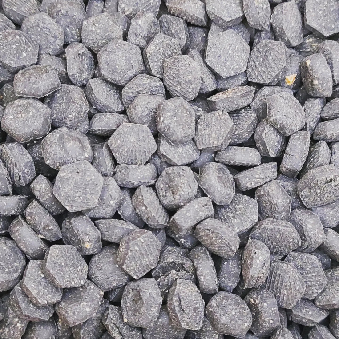 Tasty Turkey & Charcoal Bites
