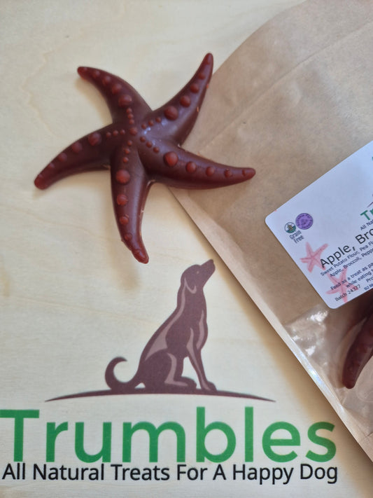 Apple, Broccoli & Mint Starfish