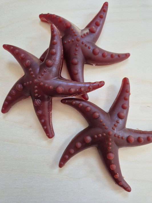 Apple, Broccoli & Mint Starfish