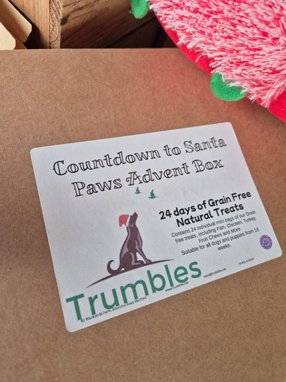 Count Down to Santa Paws Advent Box- Limited Edition