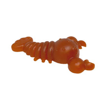 Carrot & Pumpkin Lobster - Meduim