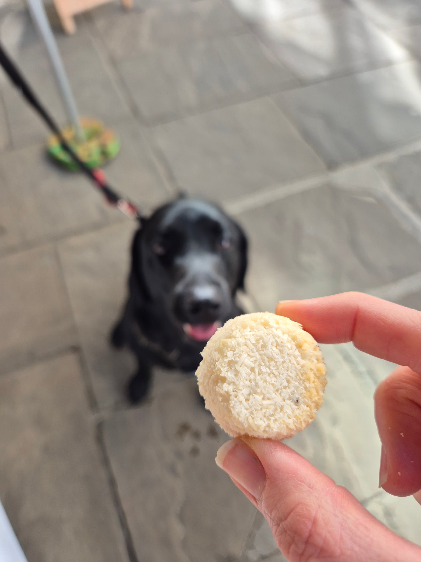 Coconut Macaroons