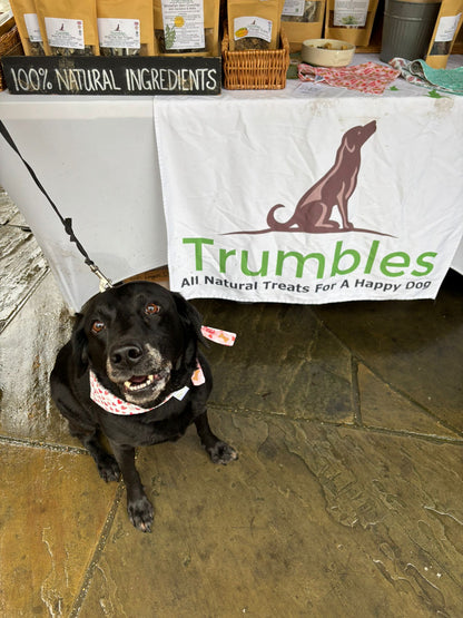 Little Olive Bandanas-I woof You Valentine's Edition